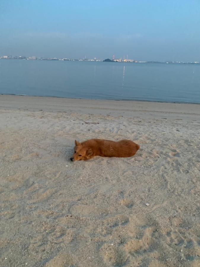 Sea View 2 Bedroom Fully Furnished Apartment Forest City Starview Bay Johor Malaysia Kampong Pok Kechil Zewnętrze zdjęcie