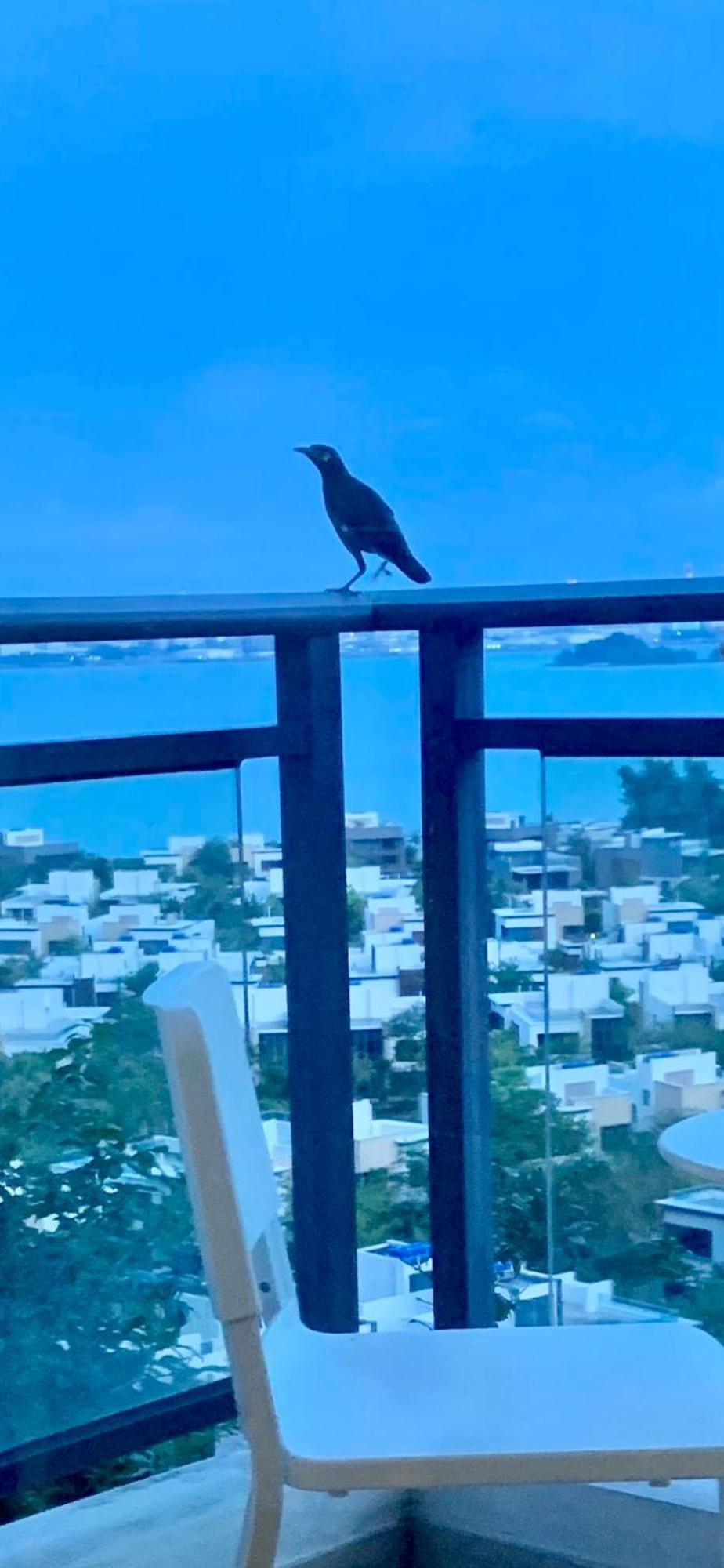Sea View 2 Bedroom Fully Furnished Apartment Forest City Starview Bay Johor Malaysia Kampong Pok Kechil Zewnętrze zdjęcie